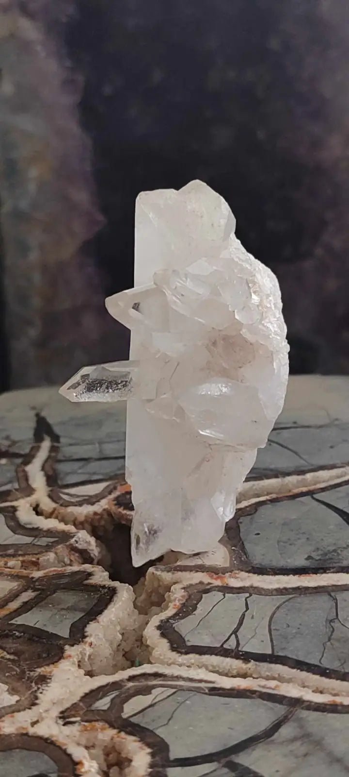 Chargez l&#39;image dans la visionneuse de la galerie, Cristal de roche du Brésil mâcle Grade A++++ Cristal de roche mâcle
