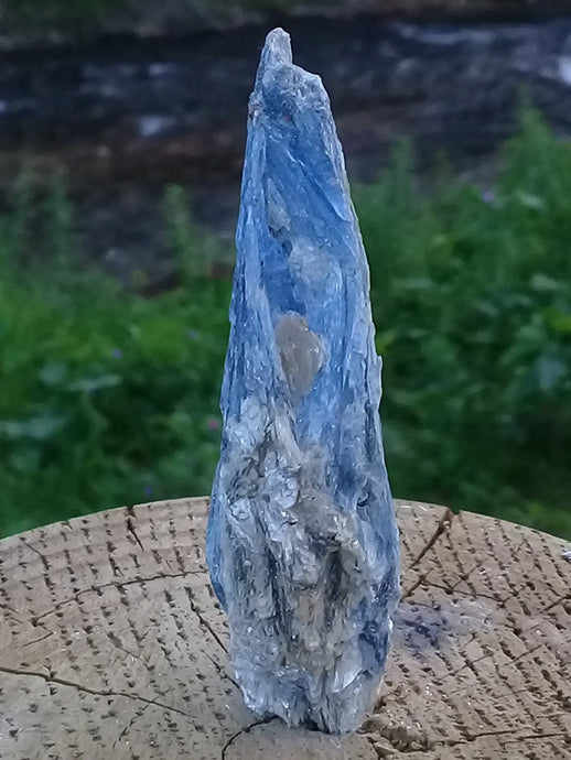 Cyanite ou Dysthène bleue du Brésil inclusions Mica pierre brute Grade A++ Cyanite ou Dysthène bleue du Brésil à inclusions de Mica pierre brute Dans la besace du p'tit Poucet   