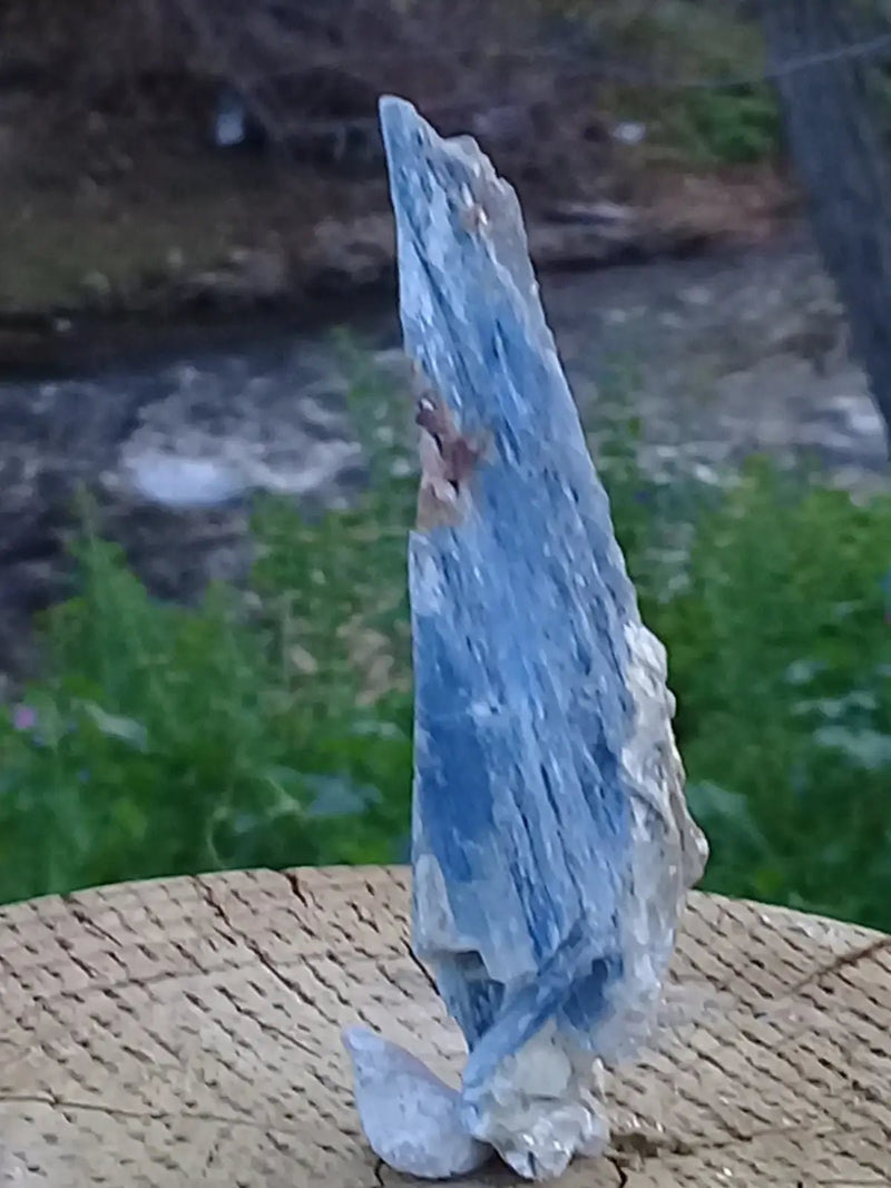 Chargez l&#39;image dans la visionneuse de la galerie, Cyanite ou Dysthène bleue du Brésil inclusions Mica pierre brute Grade A++ Cyanite ou Dysthène bleue du Brésil à inclusions de Mica pierre
