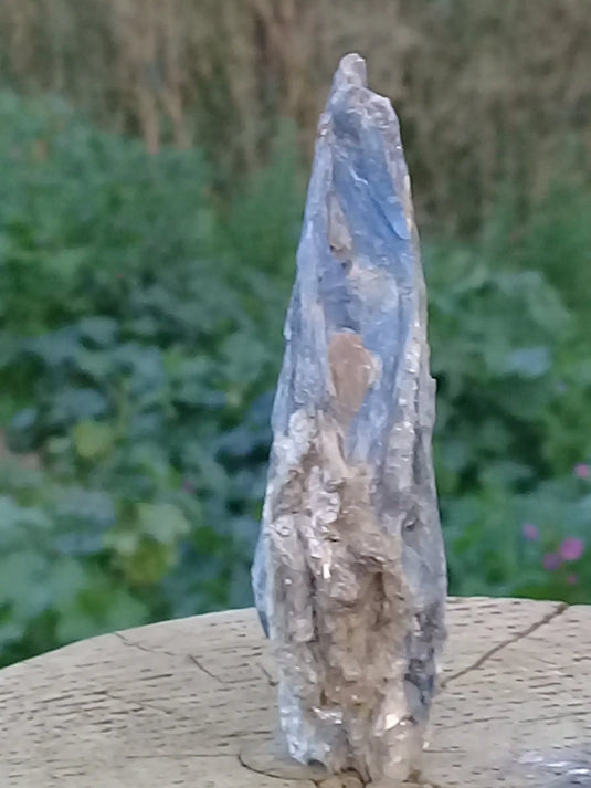 Cyanite ou Dysthène bleue du Brésil inclusions Mica pierre brute Grade A++ Cyanite ou Dysthène bleue du Brésil à inclusions de Mica pierre brute Dans la besace du p'tit Poucet   