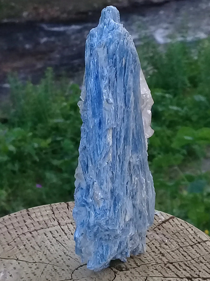 Laden Sie das Bild in Galerie -Viewer, Cyanite ou Dysthène bleue du Brésil sur Quartz pierre brute Grade A++ Cyanite bleue ou Dysthène bleue du Brésil pierre brute Dans la besace du p&#39;tit Poucet   
