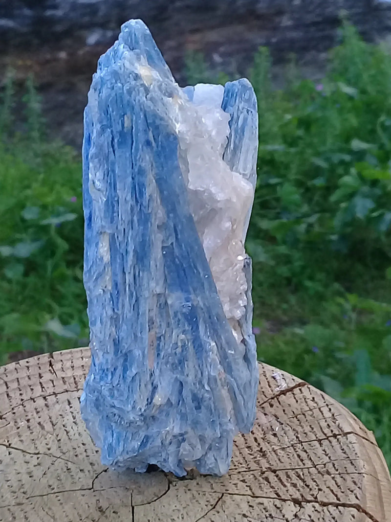 Load image into Gallery viewer, Cyanite ou Dysthène bleue du Brésil sur Quartz pierre brute Grade A++ Cyanite bleue ou Dysthène bleue du Brésil pierre brute Dans la besace du p&#39;tit Poucet   
