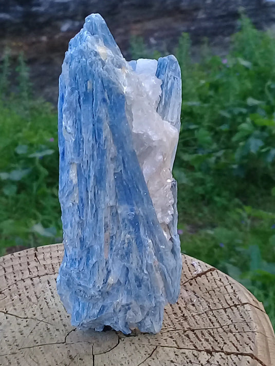 Cyanite ou Dysthène bleue du Brésil sur Quartz pierre brute Grade A++ Cyanite bleue ou Dysthène bleue du Brésil pierre brute Dans la besace du p'tit Poucet   