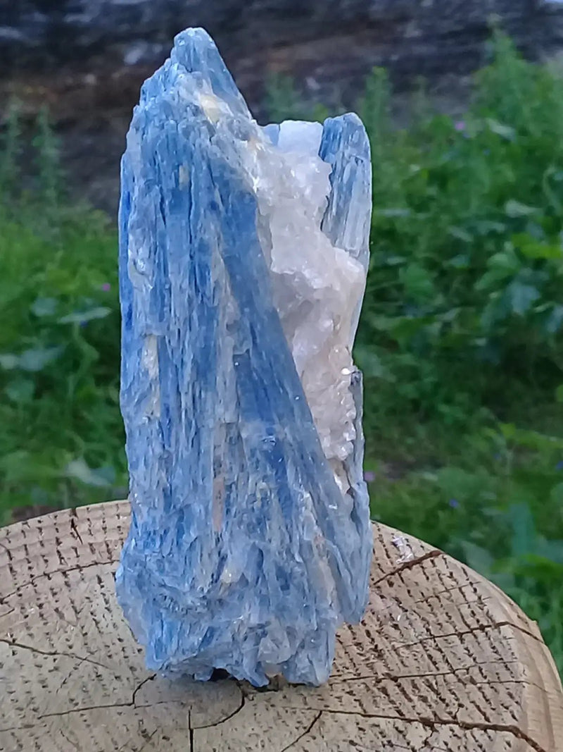 Load image into Gallery viewer, Cyanite ou Dysthène bleue du Brésil sur Quartz pierre brute Grade A++ Cyanite bleue ou Dysthène bleue du Brésil pierre brute
