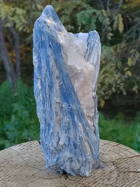 Cyanite ou Dysthène bleue du Brésil sur Quartz pierre brute Grade A++ Cyanite bleue ou Dysthène bleue du Brésil pierre brute