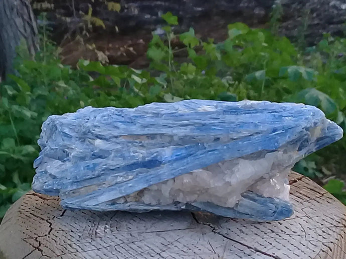 Cyanite ou Dysthène bleue du Brésil sur Quartz pierre brute Grade A++ Cyanite bleue ou Dysthène bleue du Brésil pierre brute