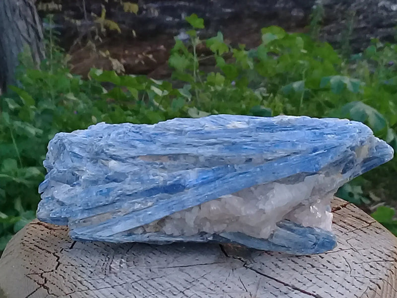 Chargez l&#39;image dans la visionneuse de la galerie, Cyanite ou Dysthène bleue du Brésil sur Quartz pierre brute Grade A++ Cyanite bleue ou Dysthène bleue du Brésil pierre brute Dans la besace du p&#39;tit Poucet   
