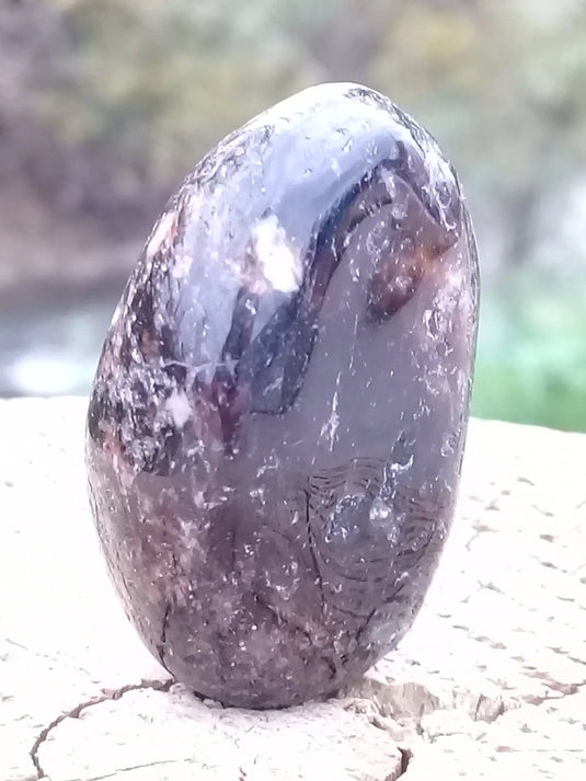 Dravite ou Tourmaline brune du Brésil pierre roulée Grade A++++ Dravite ou Tourmaline brune du Brésil pierre roulée Dans la besace du p'tit Poucet   