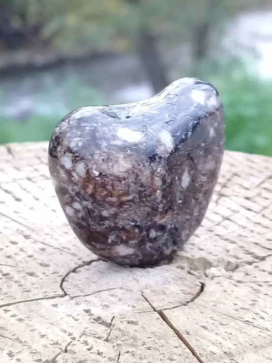 Dravite ou Tourmaline brune du Brésil pierre roulée Grade A++++ Dravite ou Tourmaline brune du Brésil pierre roulée