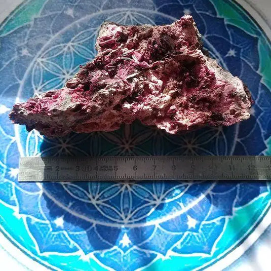 Erythrine/Erythrite du Maroc pierre de collection Grade A ++++ Erythrine/Erythrite Dans la besace du p'tit Poucet...   