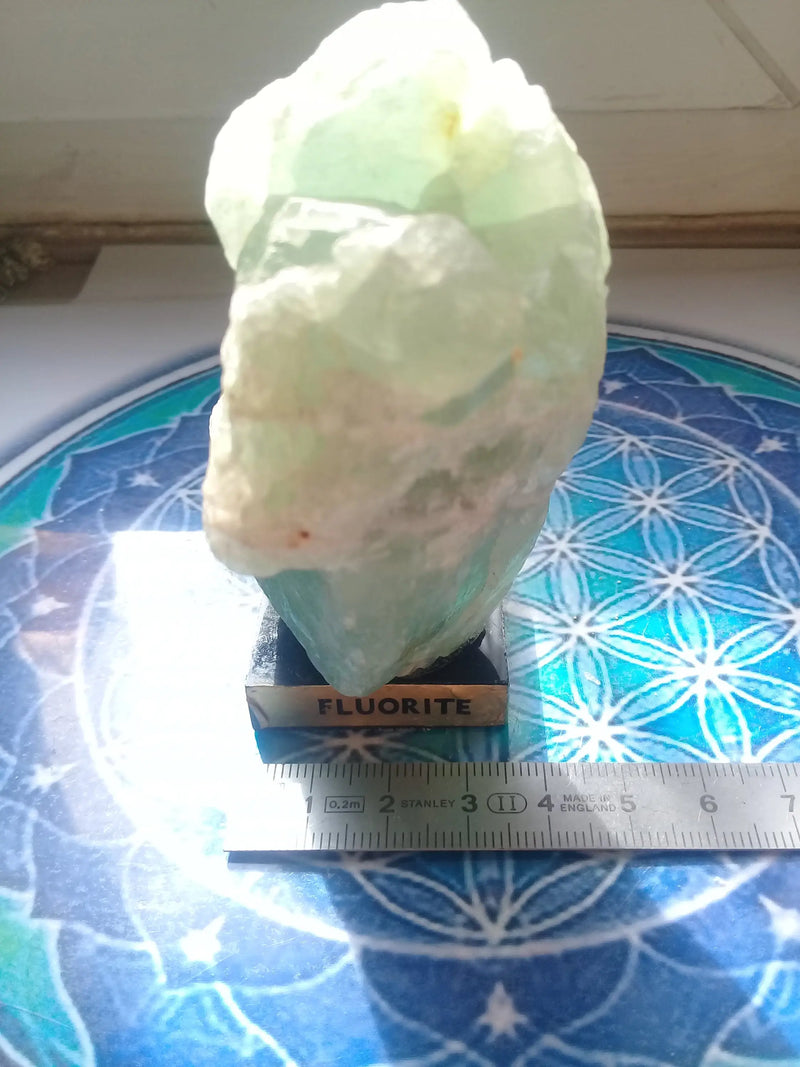 Chargez l&#39;image dans la visionneuse de la galerie, Fluorite verte de France pierre brute Grade A++++ Fluorite verte de France pierre brute Dans la besace du p&#39;tit Poucet   
