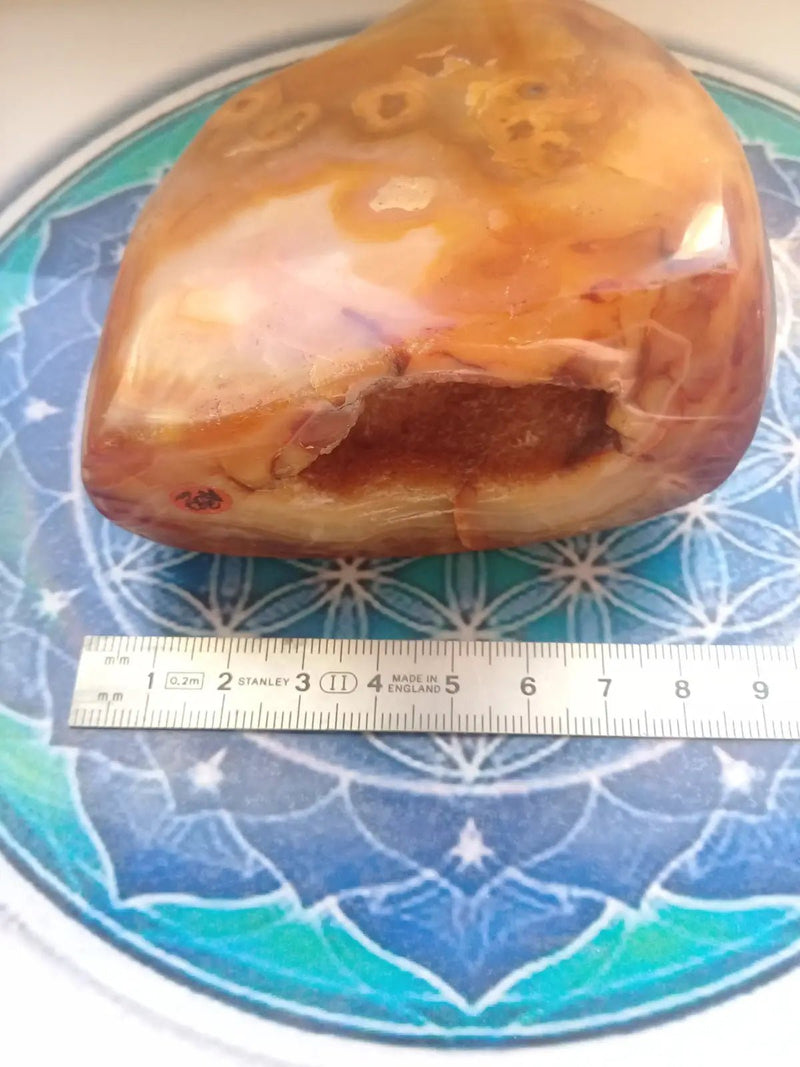 Load image into Gallery viewer, Forme Libre de Cornaline Grade A ++++ Forme libre de Cornaline
