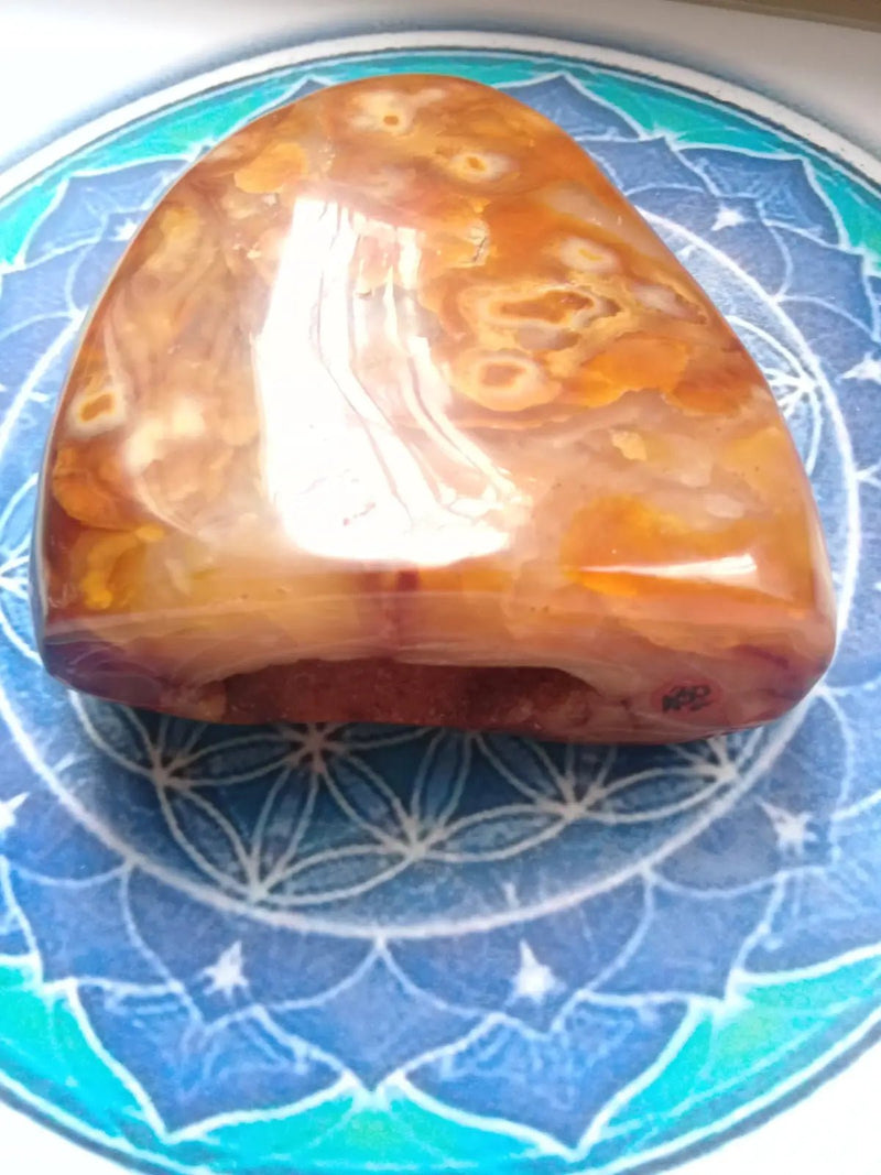 Load image into Gallery viewer, Forme Libre de Cornaline Grade A ++++ Forme libre de Cornaline
