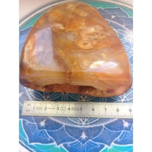 Forme Libre de Cornaline Grade A ++++ Forme libre de Cornaline