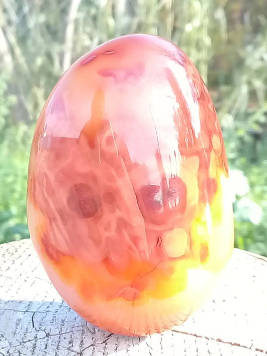 Galet de Cornaline Grade A ++++ Galet de Cornaline