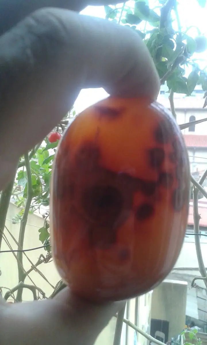 Load image into Gallery viewer, Galet de Cornaline Grade A ++++ Galet de Cornaline
