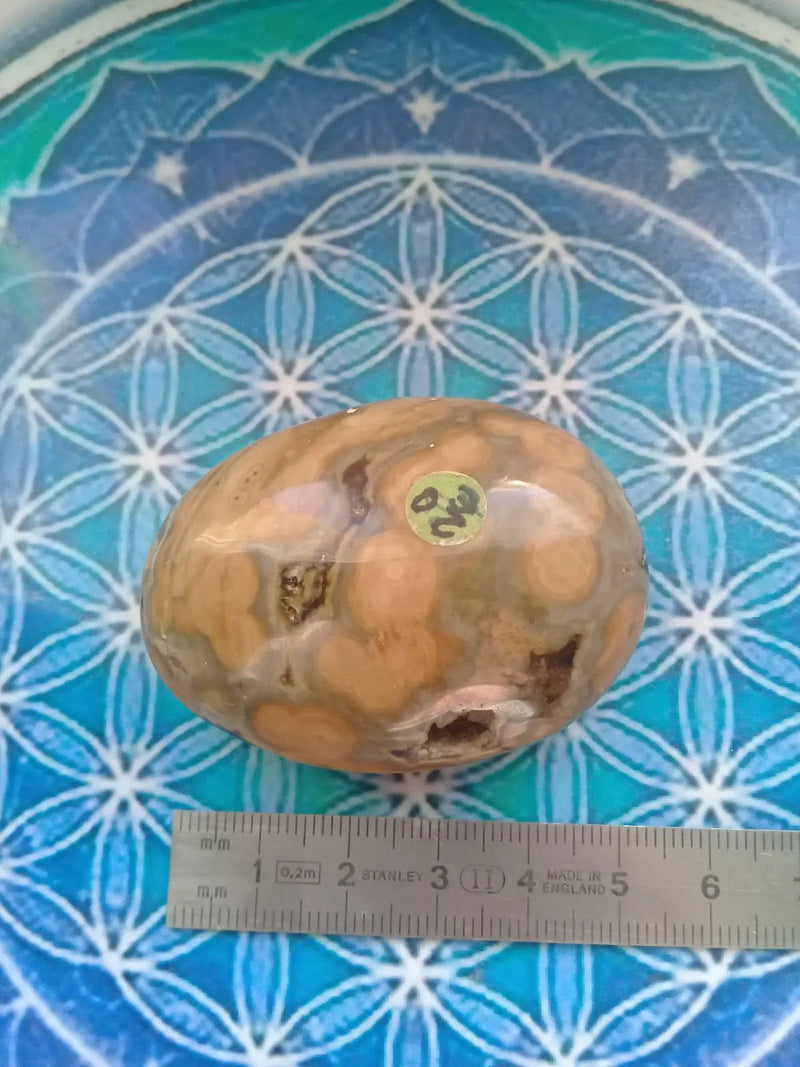 Load image into Gallery viewer, Galet Jaspe Orbiculaire Grade A ++++ Galet Jaspe Orbiculaire
