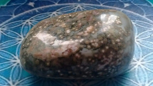 Galet Jaspe Orbiculaire Grade A ++++ Galet Jaspe Orbiculaire