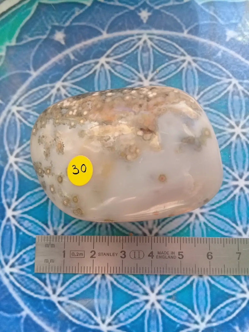 Load image into Gallery viewer, Galet Jaspe Orbiculaire Grade A ++++ Galet Jaspe Orbiculaire
