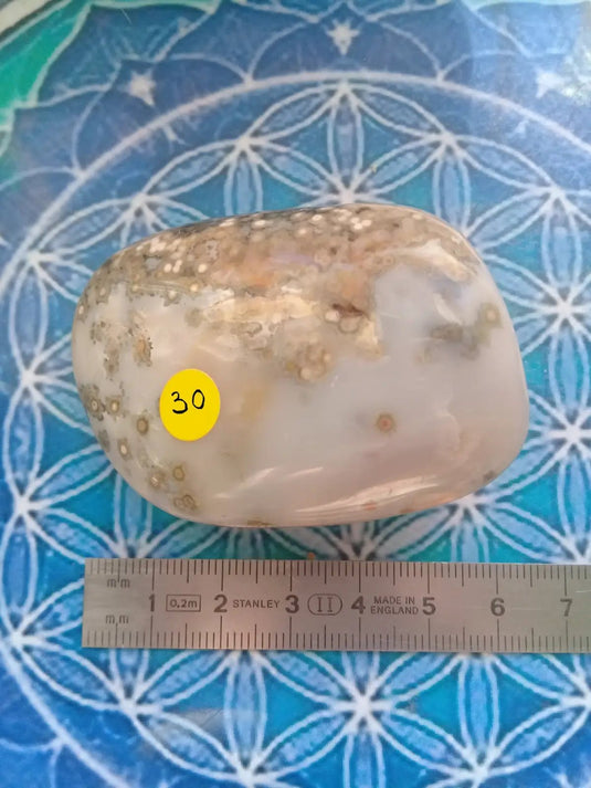 Galet Jaspe Orbiculaire Grade A ++++ Galet Jaspe Orbiculaire