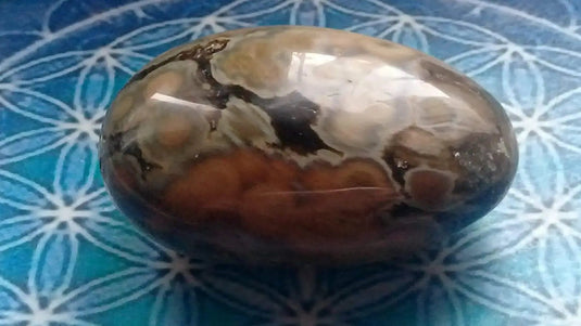 Galet Jaspe Orbiculaire Grade A ++++ Galet Jaspe Orbiculaire