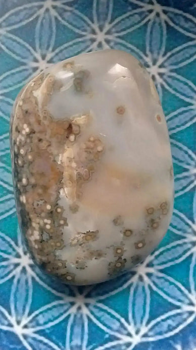 Galet Jaspe Orbiculaire Grade A ++++ Galet Jaspe Orbiculaire