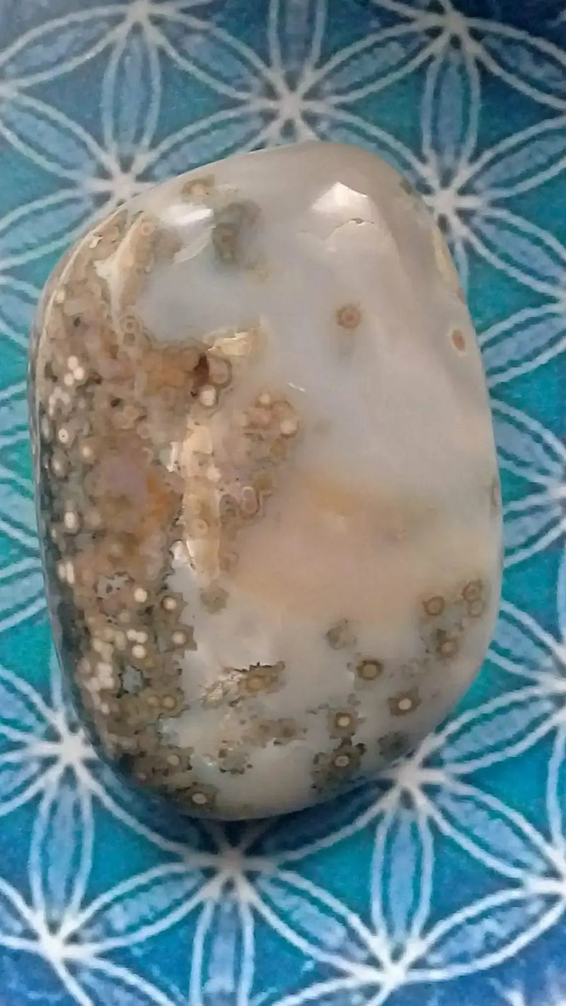 Load image into Gallery viewer, Galet Jaspe Orbiculaire Grade A ++++ Galet Jaspe Orbiculaire
