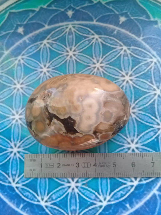 Galet Jaspe Orbiculaire Grade A ++++ Galet Jaspe Orbiculaire