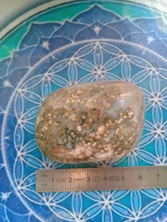 Galet Jaspe Orbiculaire Grade A ++++ Galet Jaspe Orbiculaire