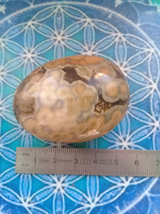 Galet Jaspe Orbiculaire Grade A ++++ Galet Jaspe Orbiculaire