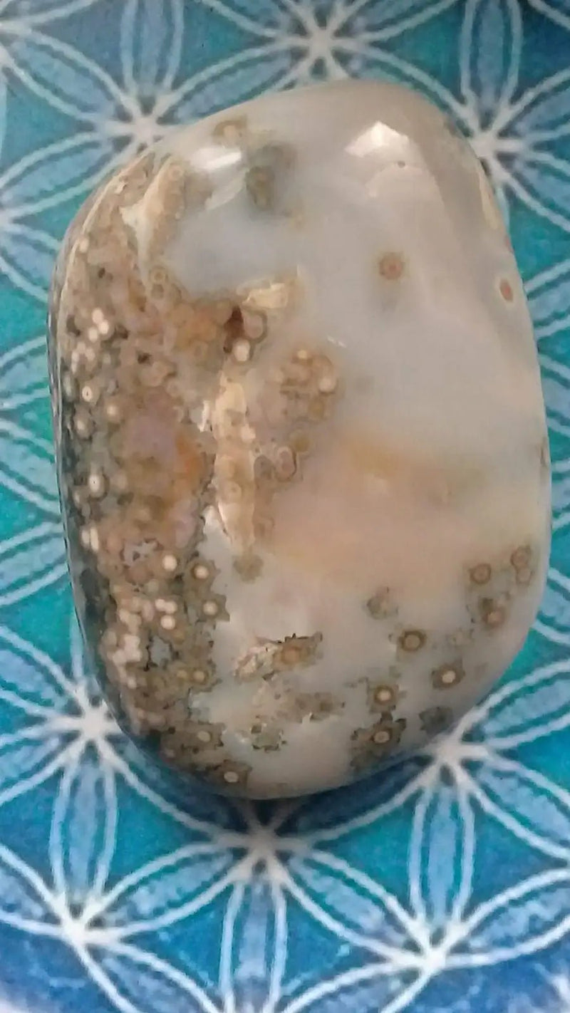 Load image into Gallery viewer, Galet Jaspe Orbiculaire Grade A ++++ Galet Jaspe Orbiculaire
