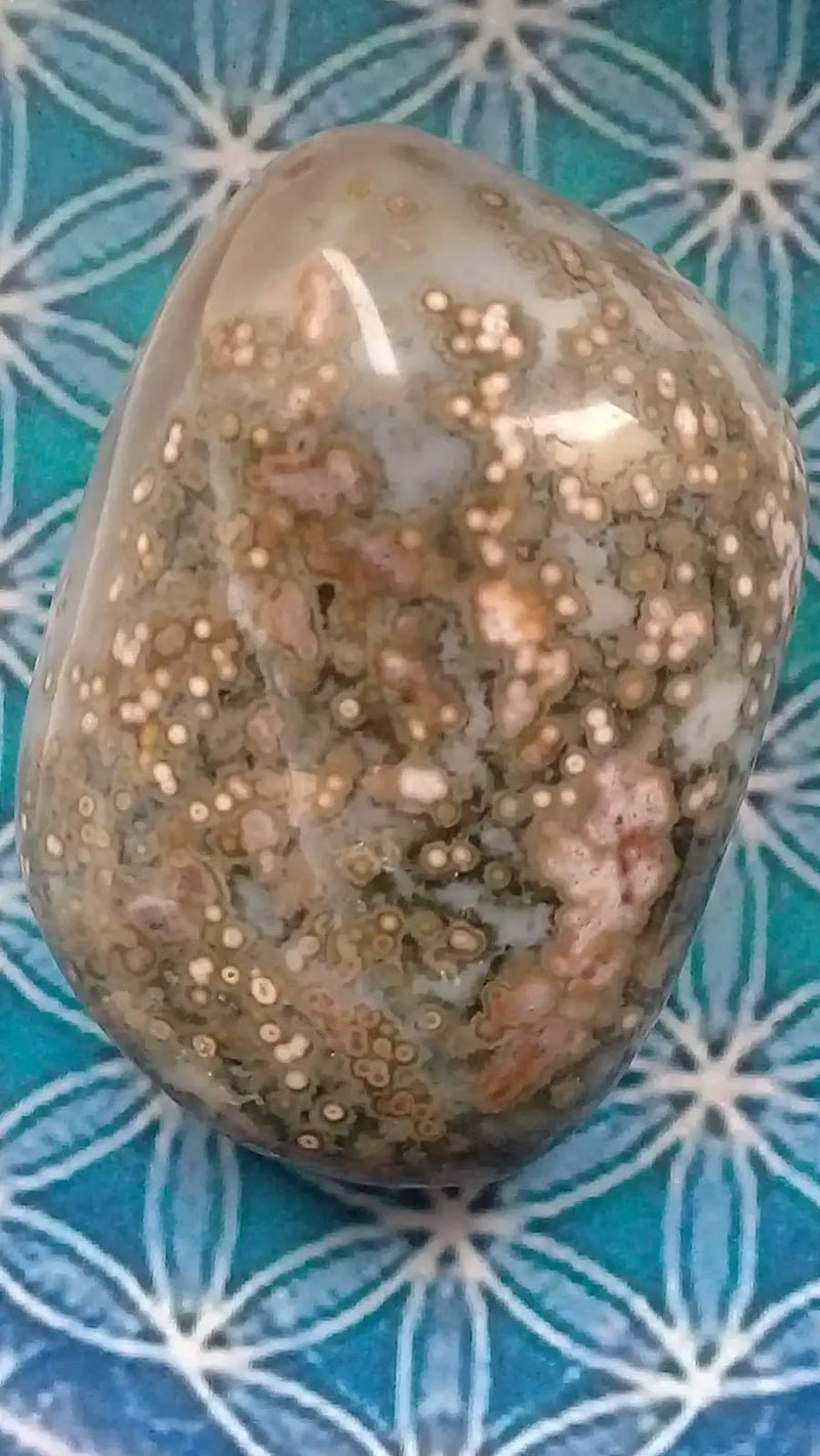 Load image into Gallery viewer, Galet Jaspe Orbiculaire Grade A ++++ Galet Jaspe Orbiculaire
