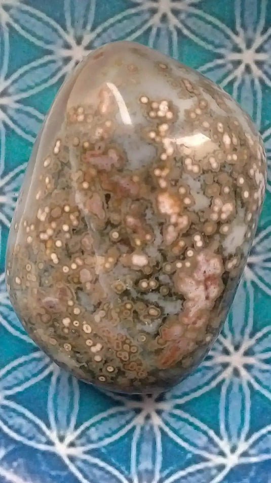 Galet Jaspe Orbiculaire Grade A ++++ Galet Jaspe Orbiculaire