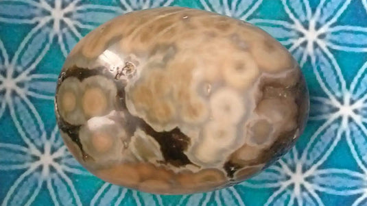 Galet Jaspe Orbiculaire Grade A ++++ Galet Jaspe Orbiculaire