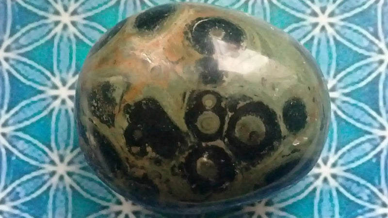 Chargez l&#39;image dans la visionneuse de la galerie, Galet Jaspe vert de Kambaba Grade A ++++ Galet Jaspe vert de Kambaba
