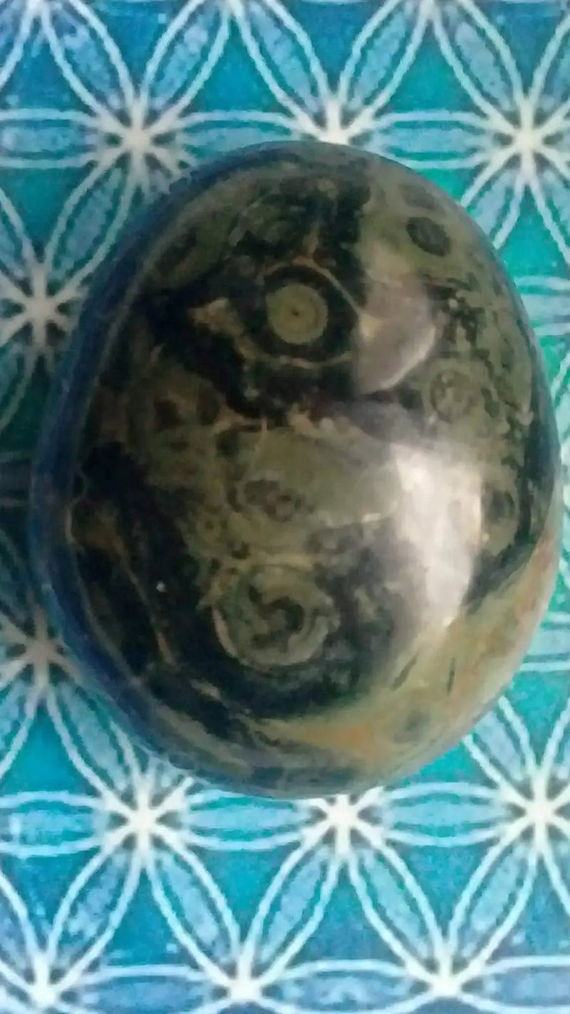 Chargez l&#39;image dans la visionneuse de la galerie, Galet Jaspe vert de Kambaba Grade A ++++ Galet Jaspe vert de Kambaba
