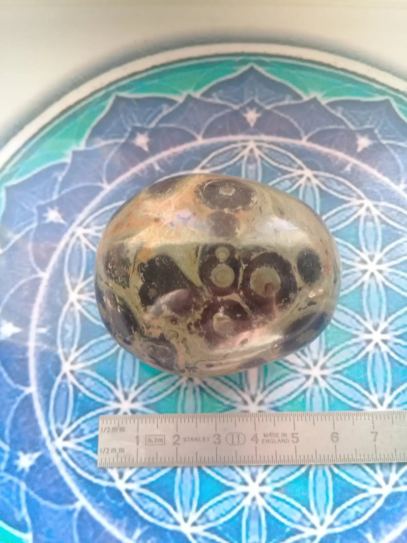 Chargez l&#39;image dans la visionneuse de la galerie, Galet Jaspe vert de Kambaba Grade A ++++ Galet Jaspe vert de Kambaba
