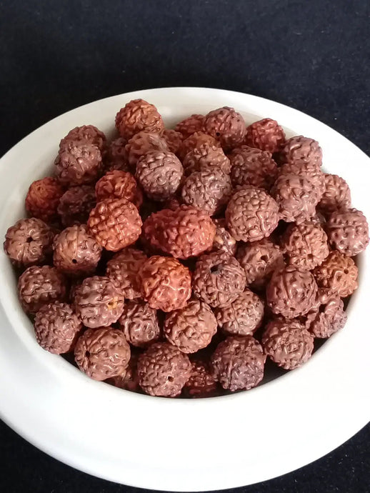 Graine de Rudraksha perle Diam: 8mm d’ornement et décoration Prix perle à l’unité Diamètre 8mm Graine de Rudraksha perles 8mm