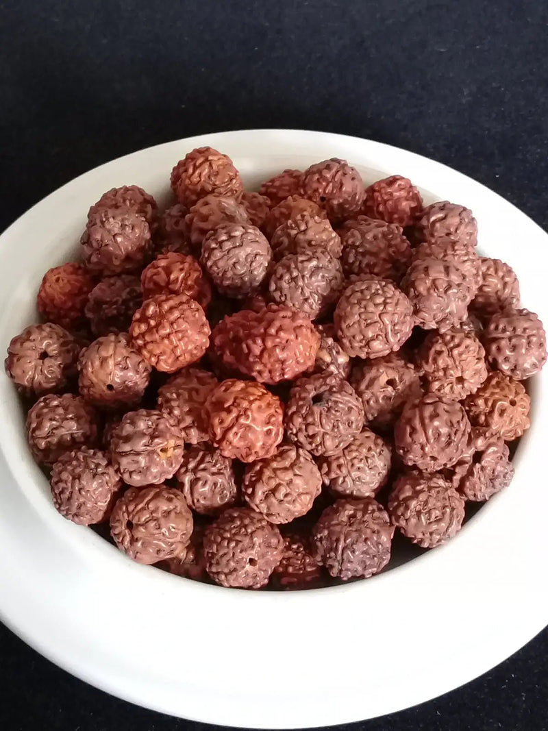 Load image into Gallery viewer, Graine de Rudraksha perle Diam: 8mm d’ornement et décoration Prix perle à l’unité Diamètre 8mm Graine de Rudraksha perles 8mm
