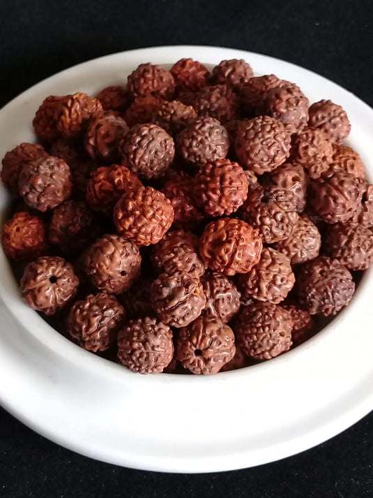 Graine de Rudraksha perle Diam: 8mm d’ornement et décoration Prix perle à l’unité Diamètre 8mm Graine de Rudraksha perles 8mm