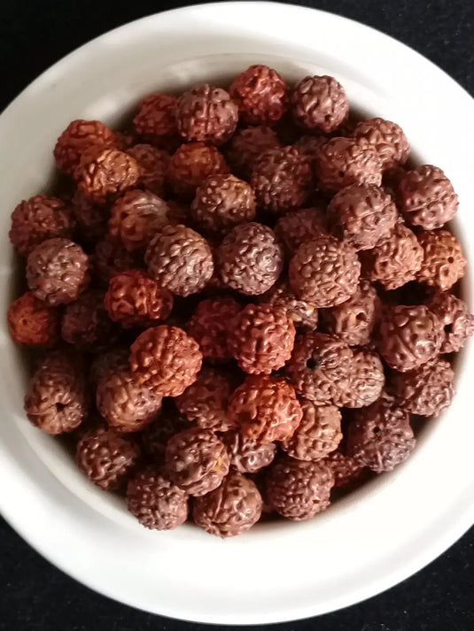 Graine de Rudraksha perle Diam: 8mm d’ornement et décoration Prix perle à l’unité Diamètre 8mm Graine de Rudraksha perles 8mm