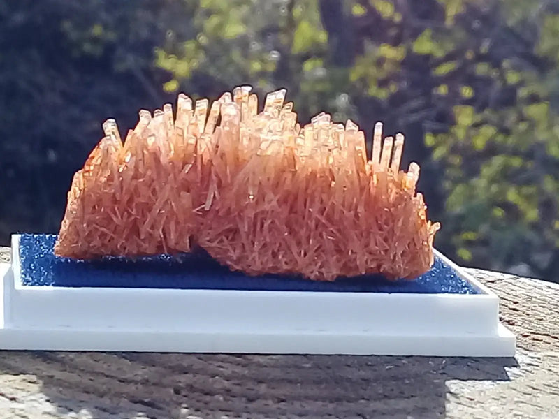 Load image into Gallery viewer, Gypse Orange d’Australie Grade A ++++ Gypse orange d’Australie
