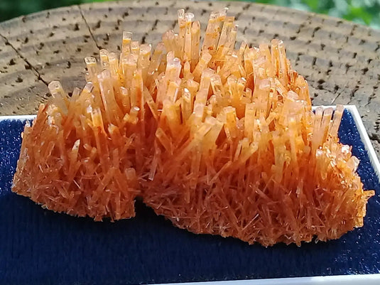 Gypse Orange d’Australie Grade A ++++ Gypse orange d’Australie