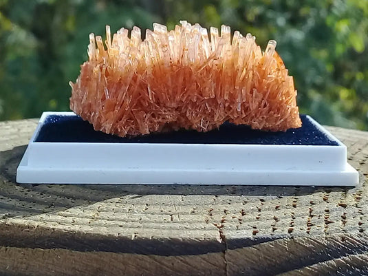 Gypse Orange d’Australie Grade A ++++ Gypse orange d’Australie