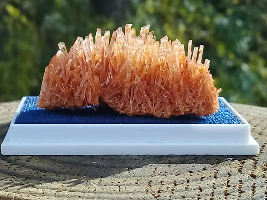 Gypse Orange d’Australie Grade A ++++ Gypse orange d’Australie