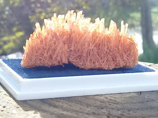 Gypse Orange d’Australie Grade A ++++ Gypse orange d’Australie