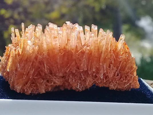 Gypse Orange d’Australie Grade A ++++ Gypse orange d’Australie