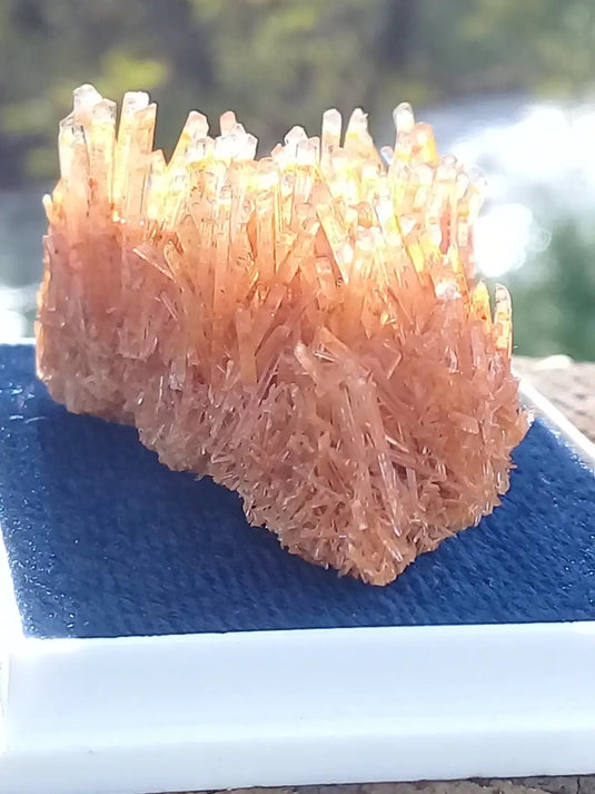 Gypse Orange d’Australie Grade A ++++ Gypse orange d’Australie