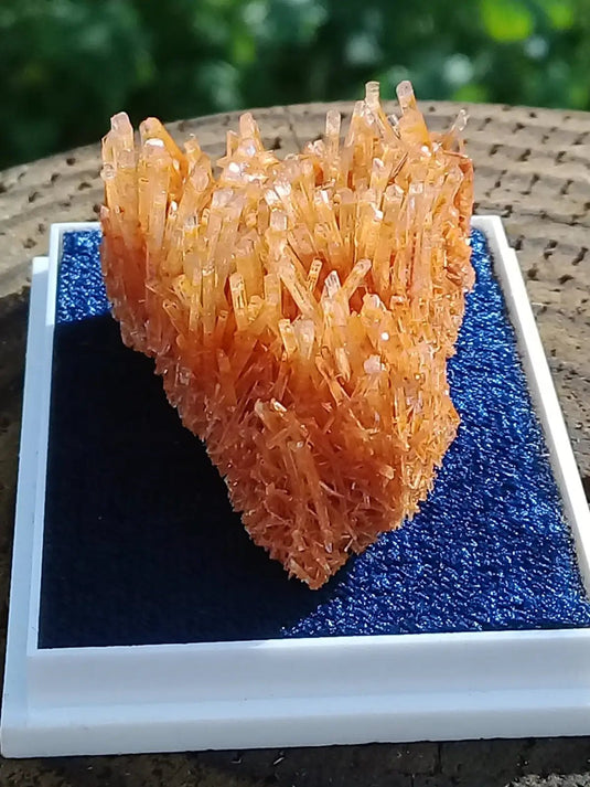 Gypse Orange d’Australie Grade A ++++ Gypse orange d’Australie