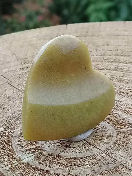 Healerite Serpentine Médiator guitare Grade A++++ Médiator guitare Serpentine